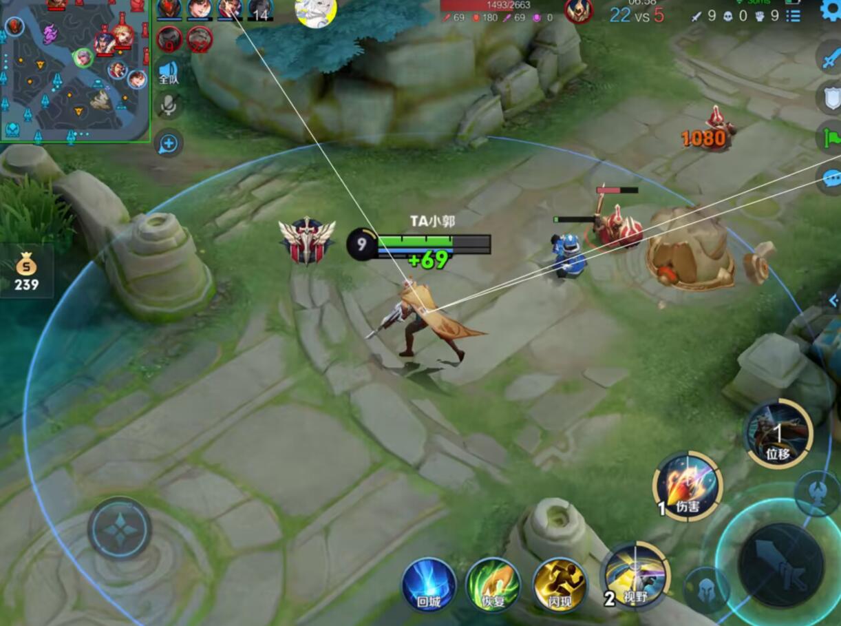 王者荣耀辅助外挂《WTML》