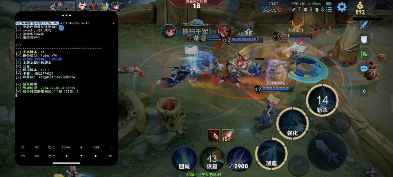 王者荣耀《九天玄鸟》外挂