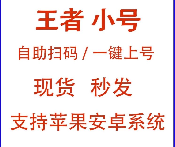 王者荣耀《黎明》辅助