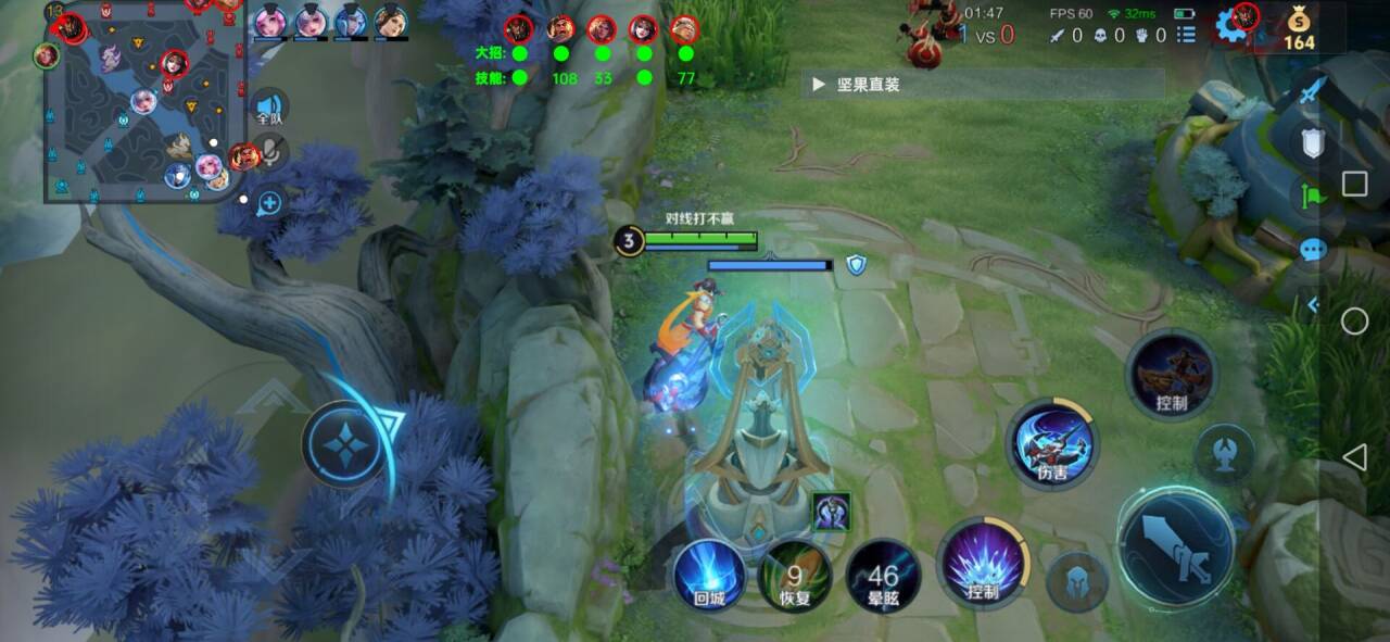 王者荣耀《九天玄鸟》外挂