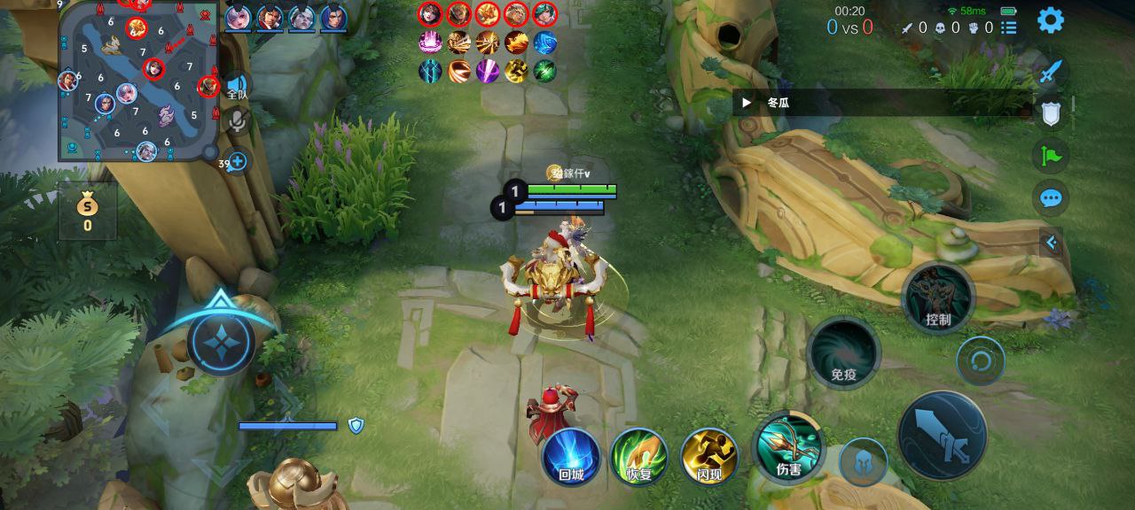 王者荣耀巅峰王者辅助科技